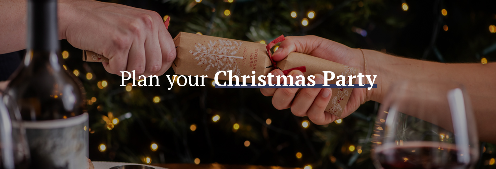 Christmas party at The Albion Hotel