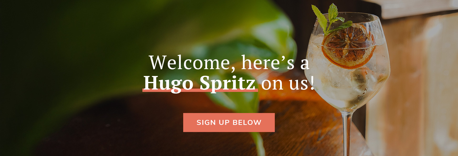 Sign up to the newsletter at The Albion Hotel