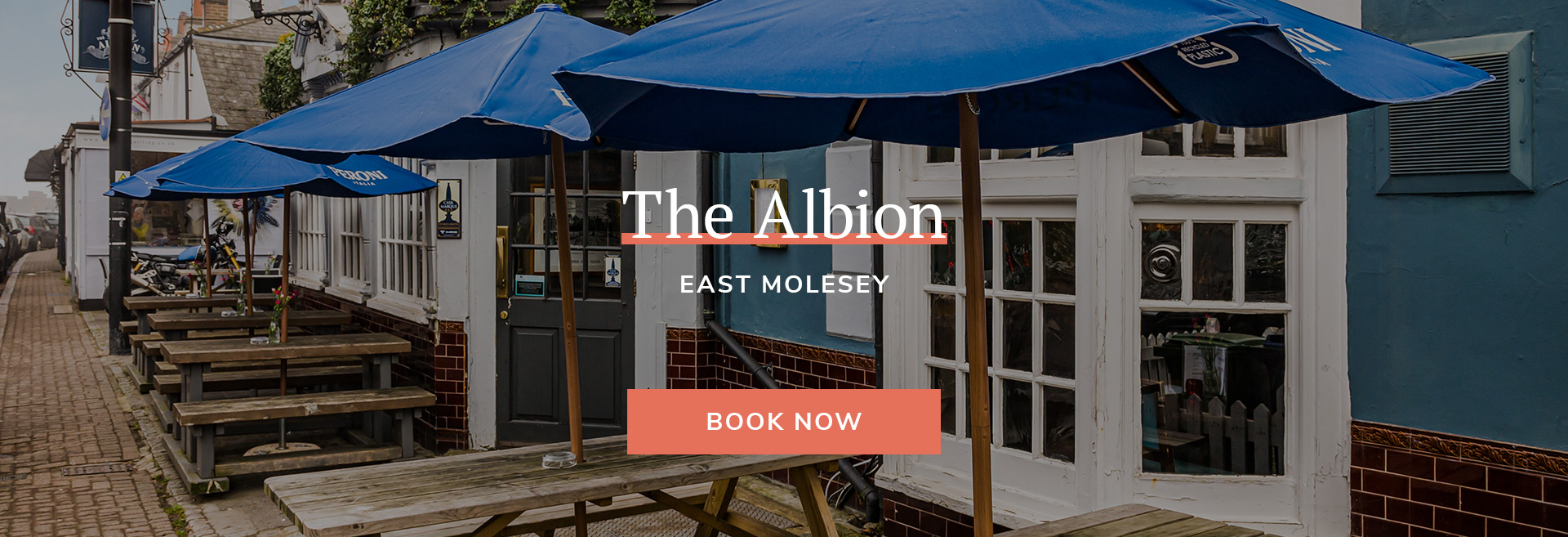 The Albion Hotel Banner 3